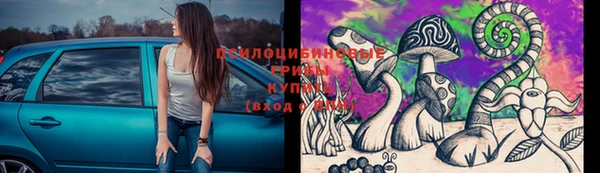 стафф Карпинск