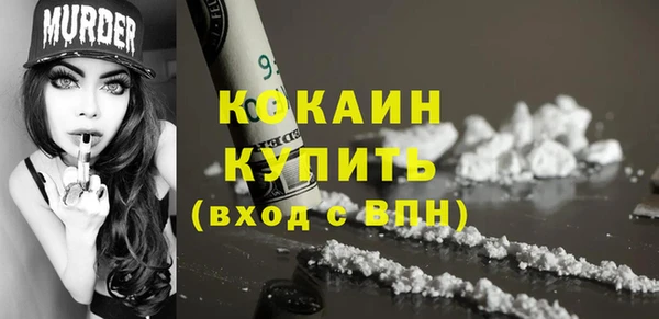 стафф Карпинск