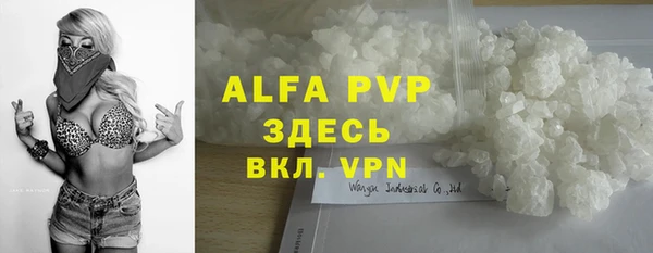 стафф Карпинск