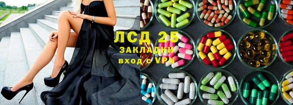 стафф Карпинск