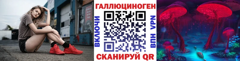 хочу наркоту  Оса  Псилоцибиновые грибы мухоморы 