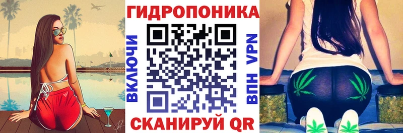хочу наркоту  Оса  Конопля сатива 